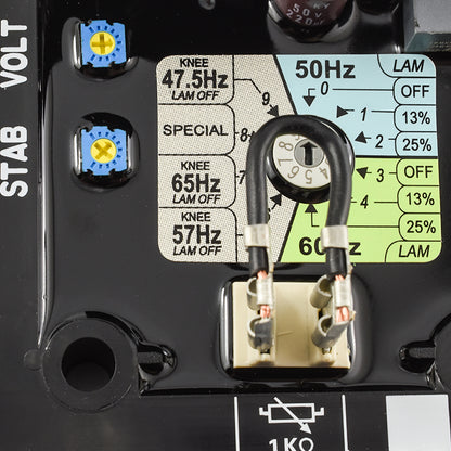 LIXiSE R250 Fast 500Ms Response Simple Setup AVR | IEC UL Certified Alternator Regulator Manufacturer